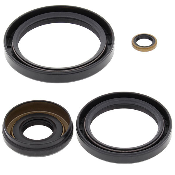 ALL BALLS DIFFERENTIAL SEAL KIT (25 2066 5)