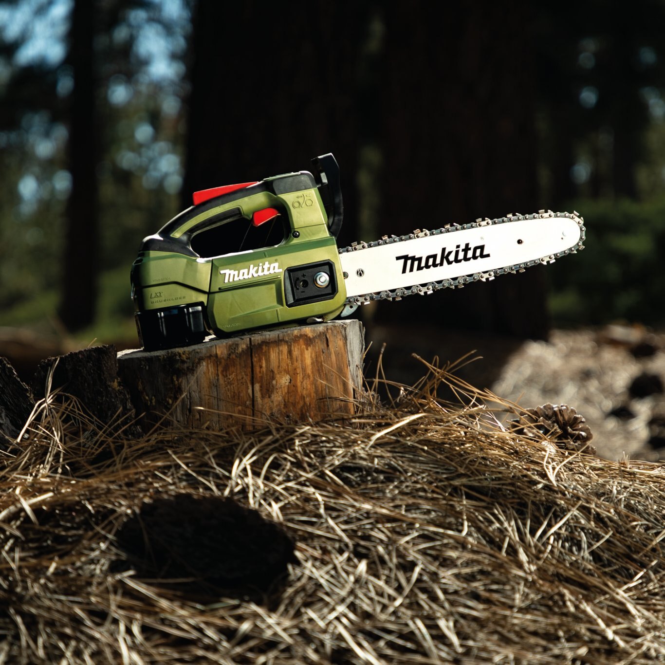 Makita Outdoor Adventure™ 18V LXT® 12 Top Handle Chain Saw Kit (4.0Ah)