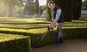 Stihl Hedge trimmers