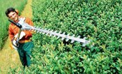 Stihl Long-reach Hedge Trimmers