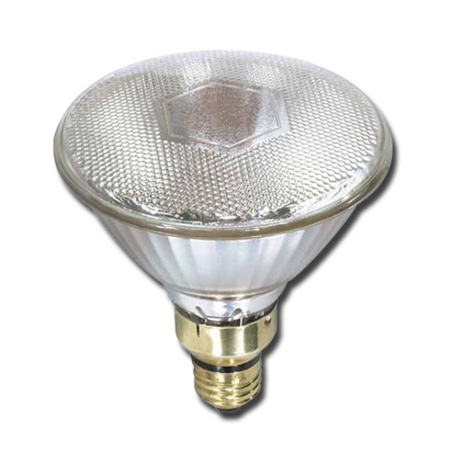 Canarm Par38 175W Clear Heat Lamp Bulb