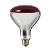 Canarm R40 250W Red Heat Lamp Bulb