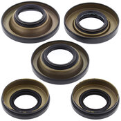 ALL BALLS DIFFERENTIAL SEAL KIT (25-2047-5)