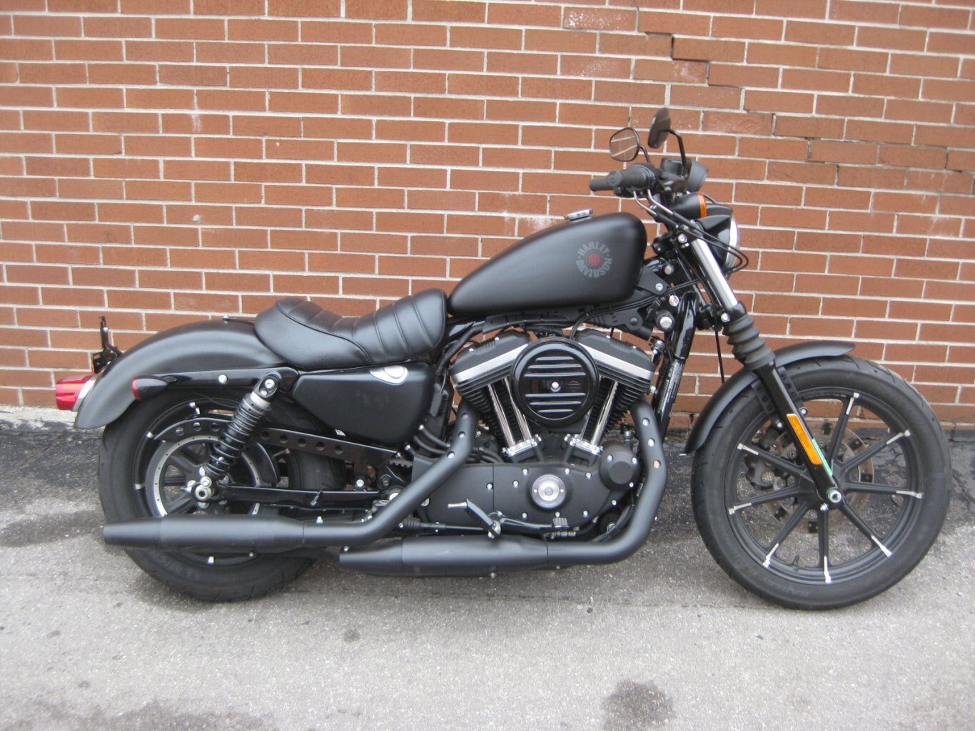 2019 Harley-Davidson® XL883N  Iron 883™