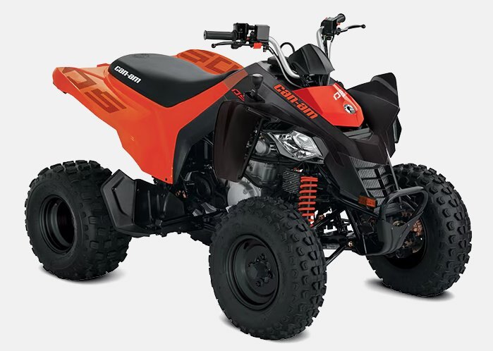 2024 Can-Am DS-250