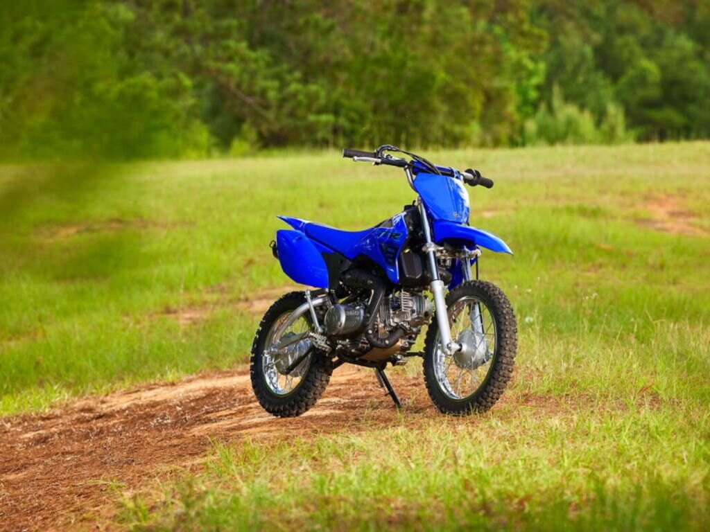2024 Yamaha TT R 110