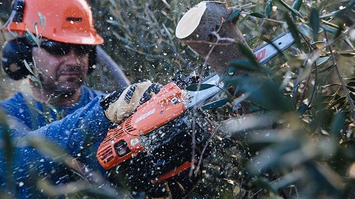7 DAY MONEY BACK GUARANTEE ON OUR PROFESSIONAL ARBORIST CHAINSAWS.
