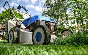 Spring Lawn Care Tips For A Better Summer