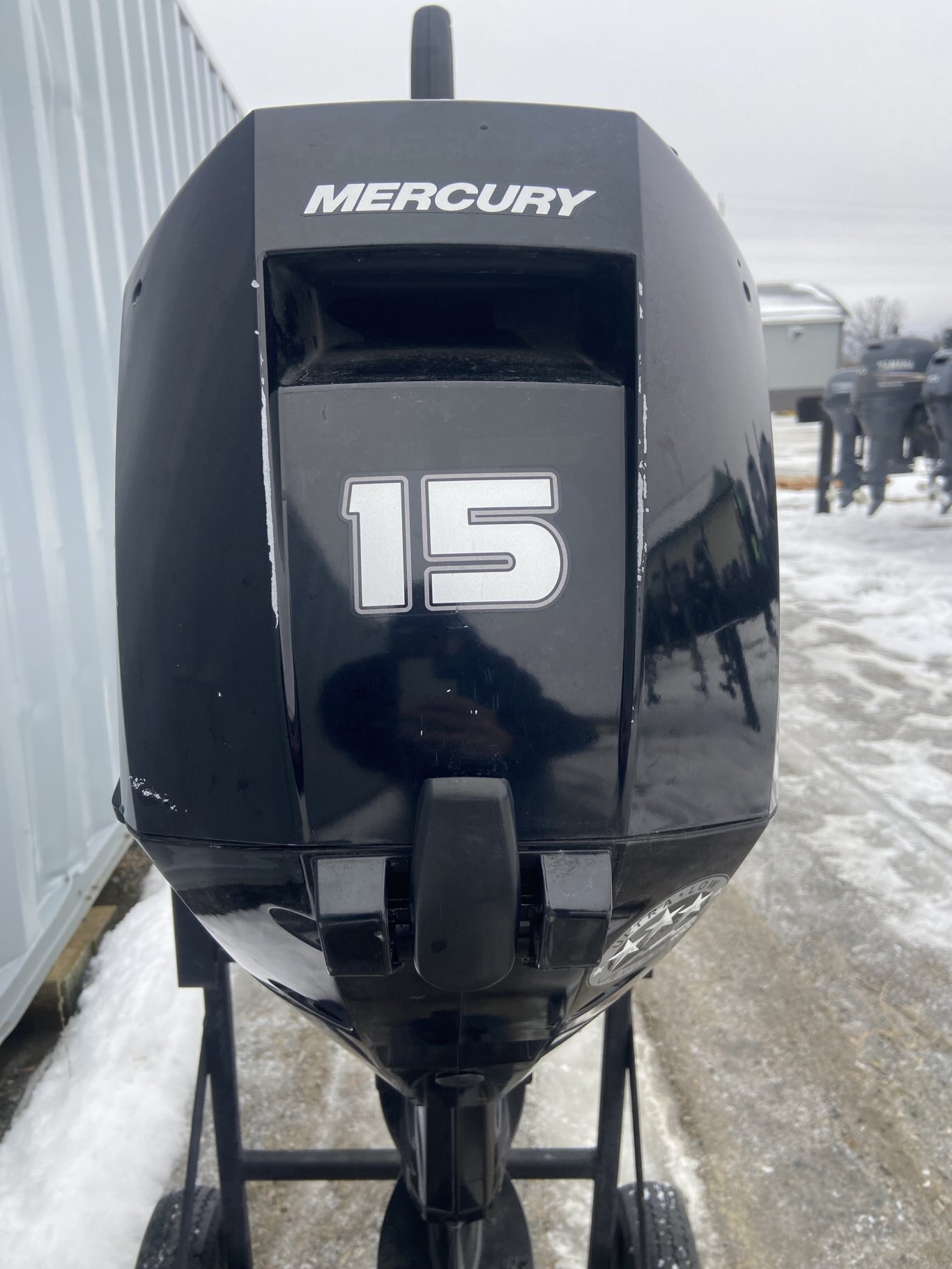 2021 Mercury F15MH