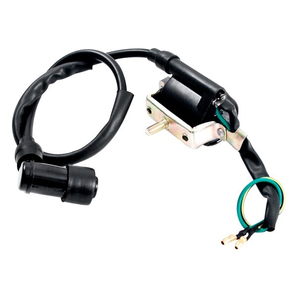 Outside Distributing External Ignition Coil 217120