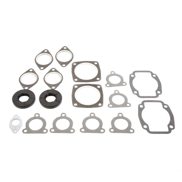 VertexWinderosa Professional Complete Gasket Sets with Oil Seals Fits Arctic cat 09 711060A